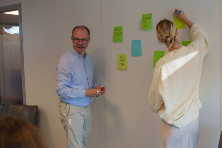 Lees meer over het artikel Recruiter voor interim management opdracht